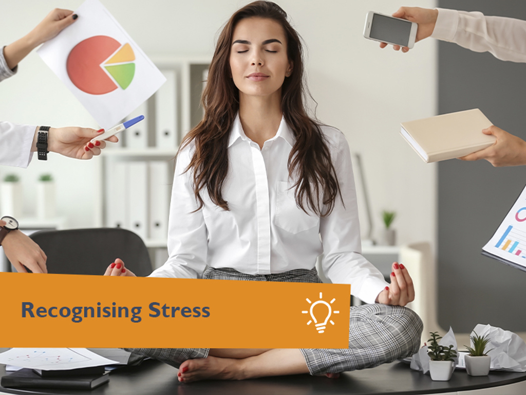 Recognising Stress Online Course - Expert LMS