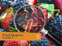 Food Hygiene Level 3