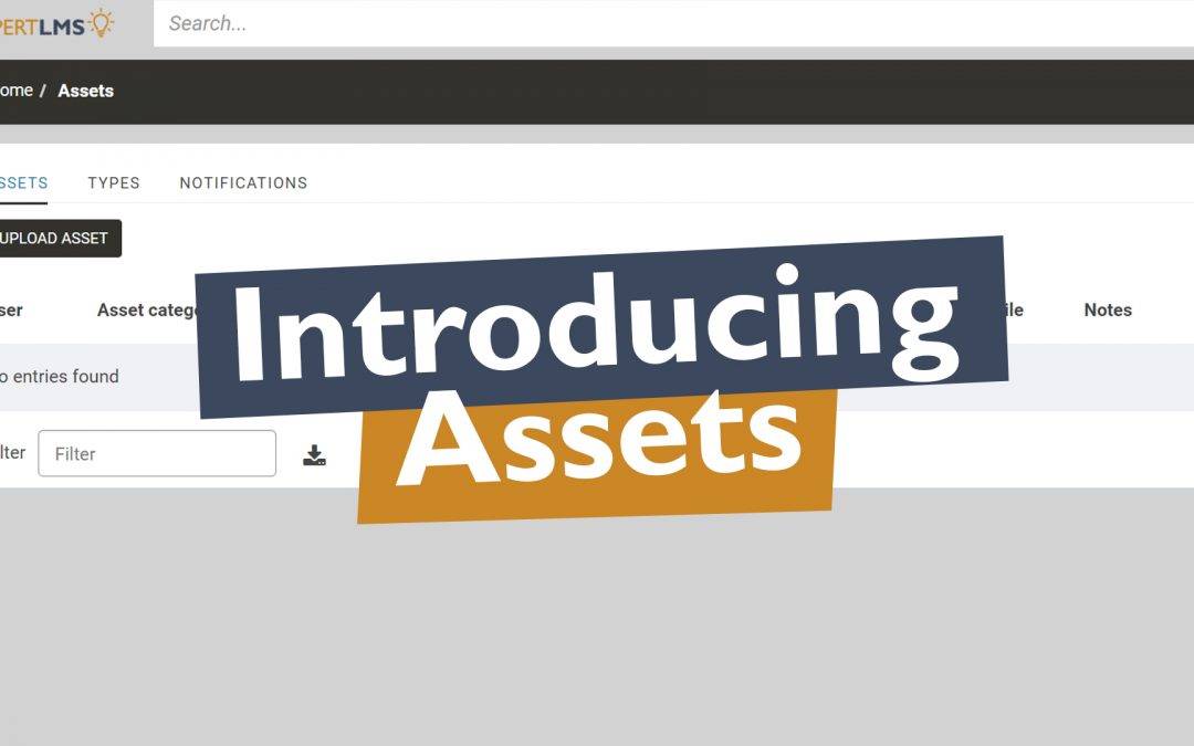 Introducing Assets